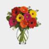 interflora canada|interflora international canada.